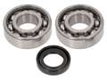 SKF Bearing Set & Oil Seal Engine | Piaggio Ciao, SI, Bravo, Boxer SKF Bearing Set & Oil Seal Engine | Piaggio Ciao, SI, Bravo, Boxer
