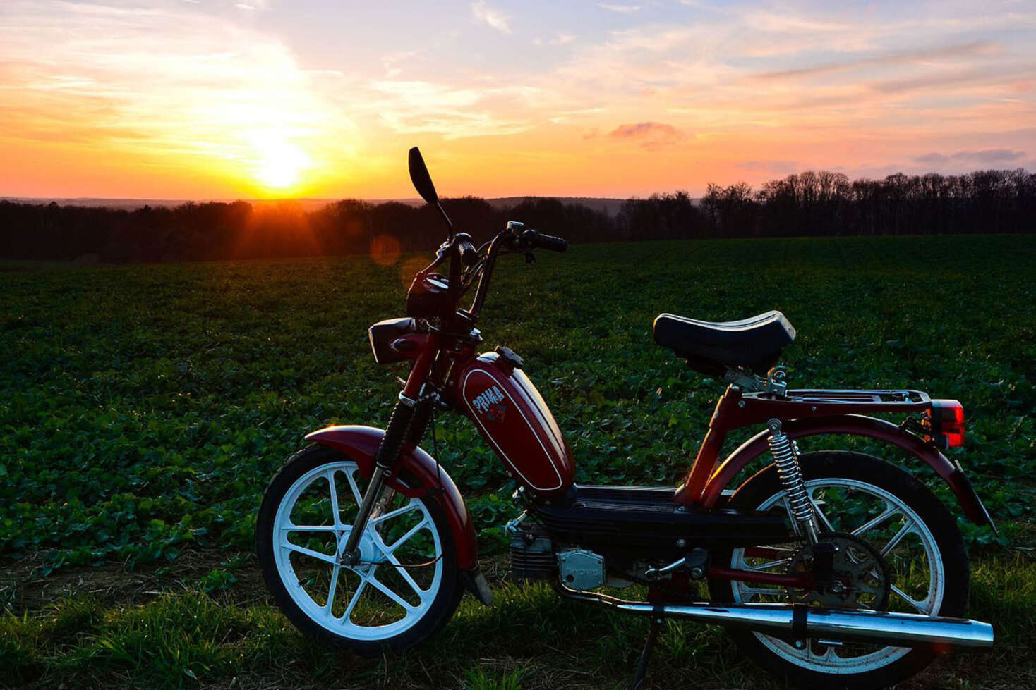 23_08-Hercules-01pri7 23_08-Hercules-01pri7