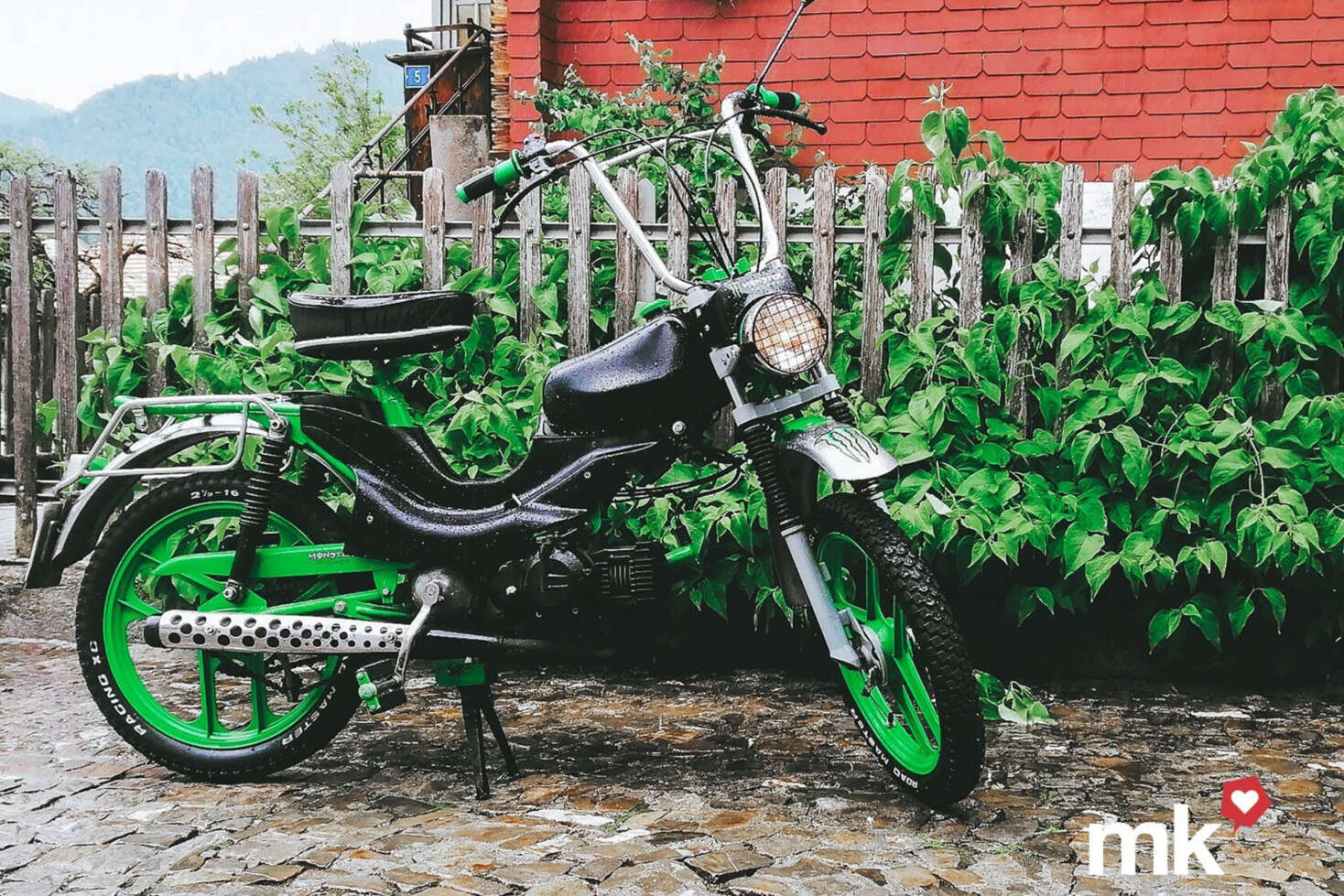 23_08-Cilo-01pri7 23_08-Cilo-01pri7