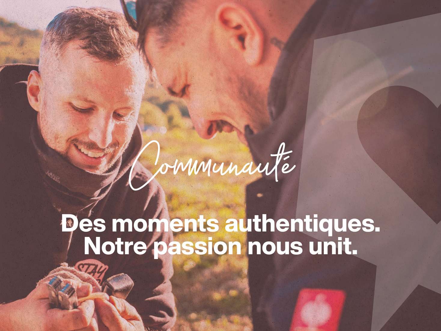 fr-shop-landing-03-L fr-shop-landing-03-L