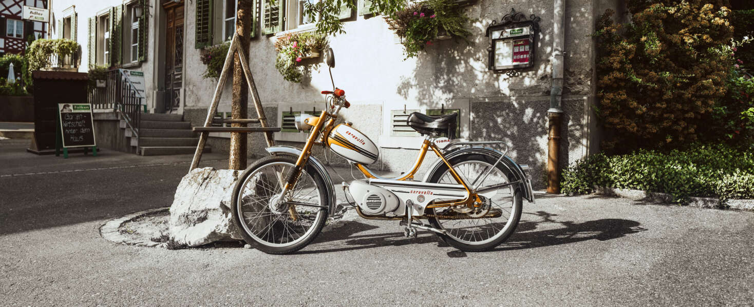 23_08-Tigra-01pri 23_08-Tigra-01pri