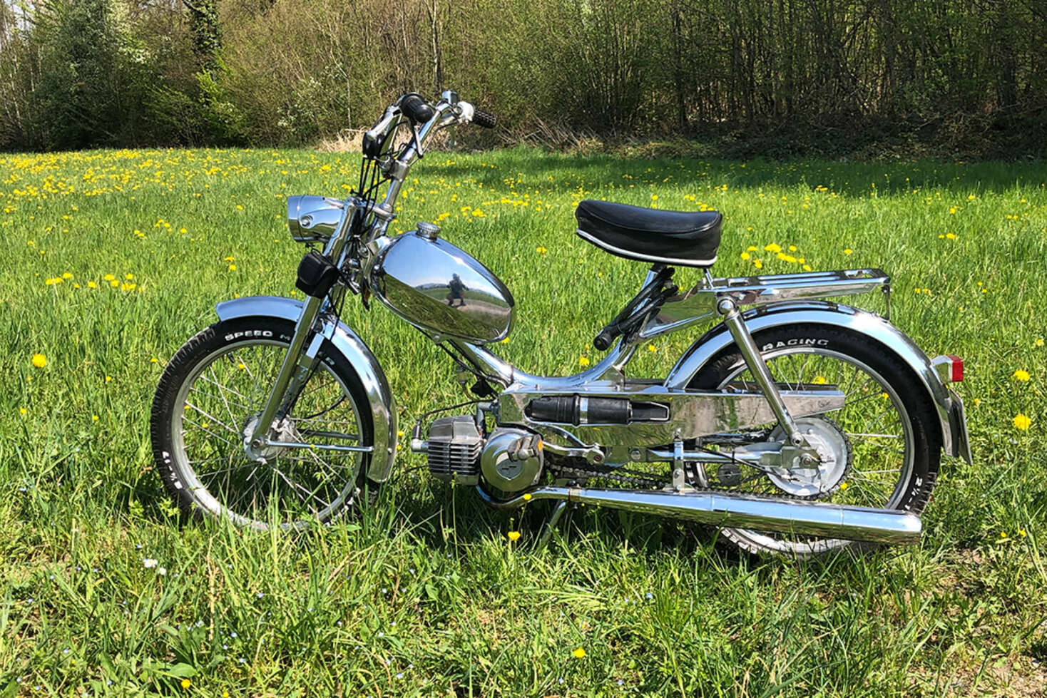 23_08-Tigra-01pri3 23_08-Tigra-01pri3