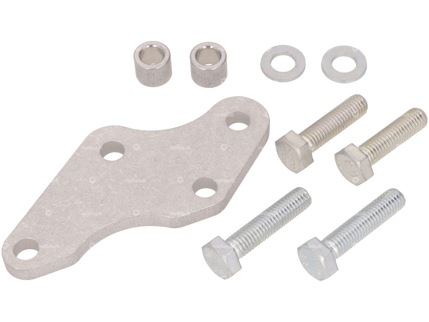 Plaque de réception frein à disque EBR Fourche Carousel Image 1