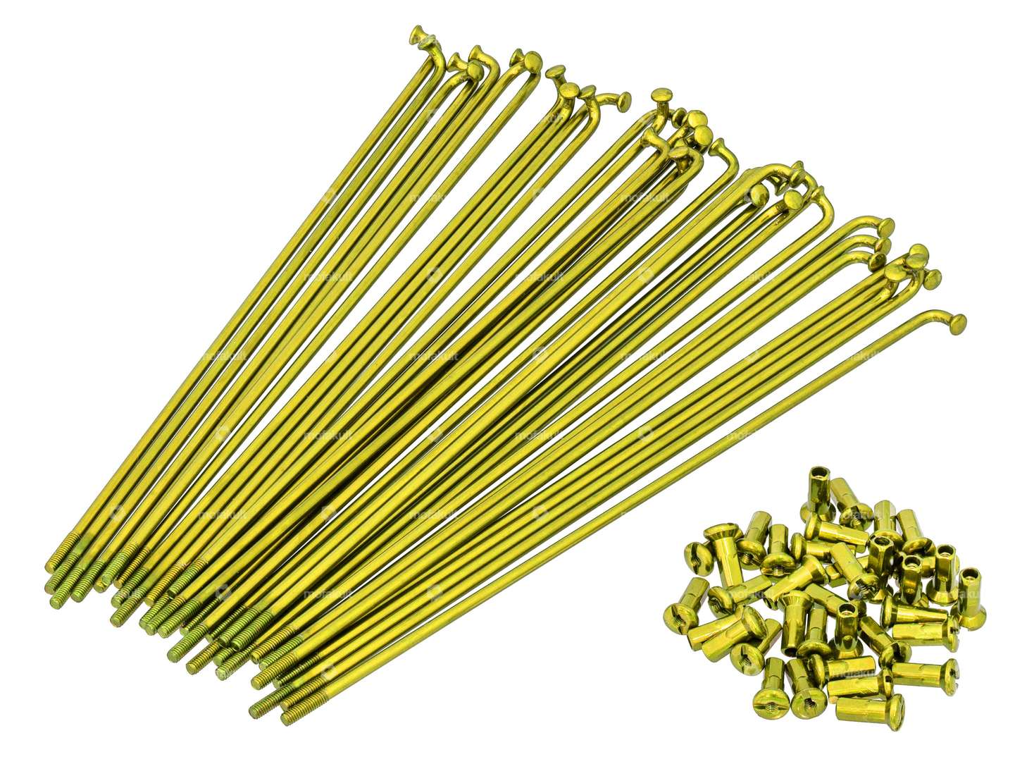 GPO 19" Jeu de rayons avec écrous (2.9 x 212 mm) or Carousel Image 1