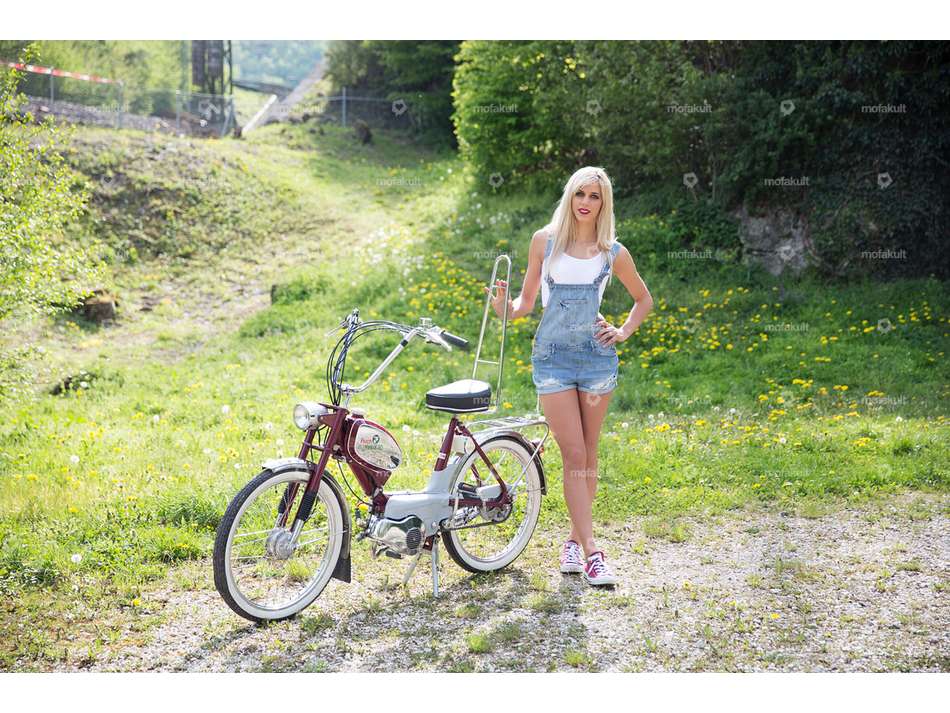 66HEROES Dossier / Sissybar Carousel Image 4