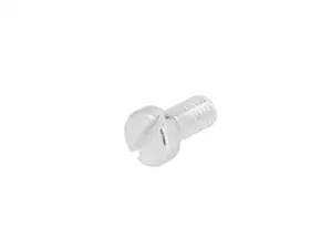 Vis M5x10 tête cylindrique fente zinguée Vis M5x10 tête cylindrique fente zinguée