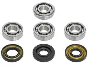 swiing® revival Kit de révision moteur (ancien modèle) | Puch E50 swiing® revival Kit de révision moteur (ancien modèle) | Puch E50