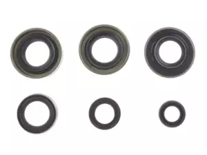 Shaft seal set 3 & 4-speed kickstarter | Sachs Shaft seal set 3 & 4-speed kickstarter | Sachs