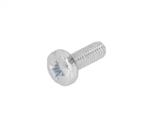 Screw M6x16 pan-head galvanized Screw M6x16 pan-head galvanized