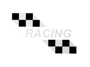 Autocollant pour réservoir « RACING » blanc | Puch X30 NG-2AH Autocollant pour réservoir « RACING » blanc | Puch X30 NG-2AH